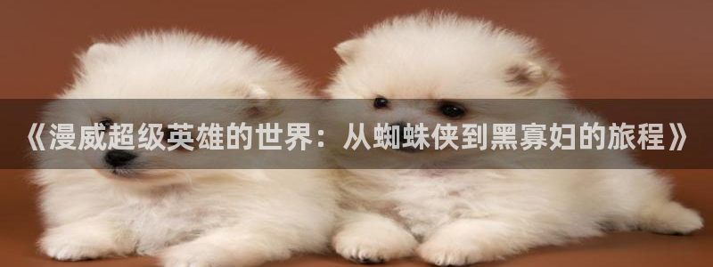 新新漫画app怎么下呀：《漫威超级英雄的世界：从蜘蛛侠到黑寡妇的旅程》