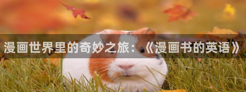 新新漫画正版app下载