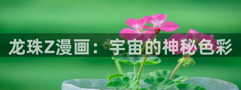 新新漫画app下载