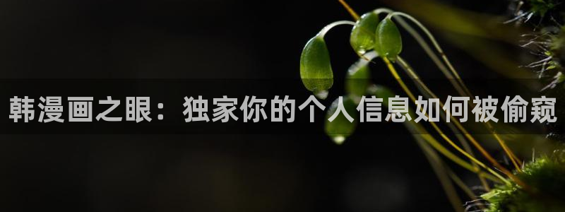新新漫画了