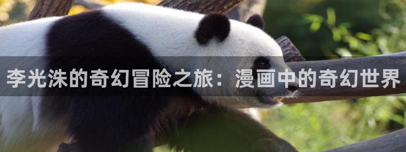 bl新新漫画：李光洙的奇幻冒险之旅：漫画中的奇幻世界