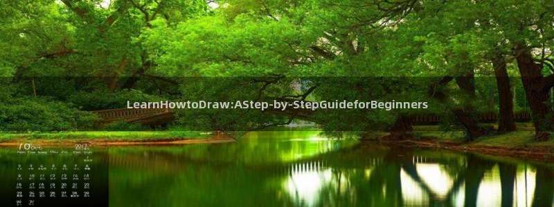 寄宿日记新新漫画：LearnHowtoDraw:AStep-by-StepGuideforBeginners