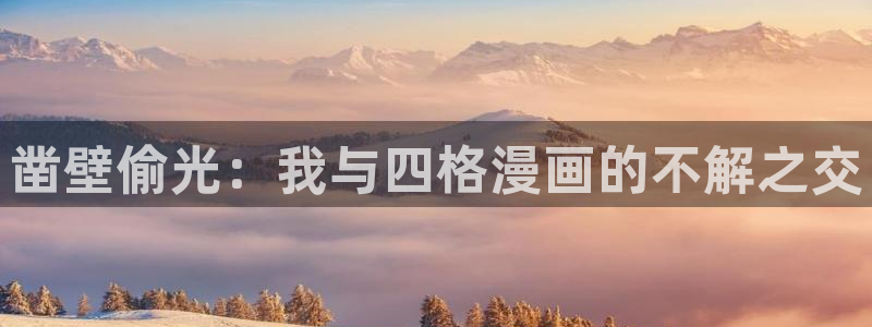 新新漫画下载安装：凿壁偷光：我与四格漫画的不解之交
