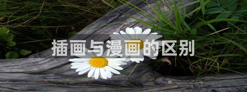 新新漫画网