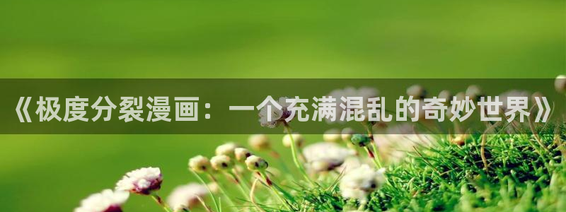 新新漫画已完结：《极度分裂漫画：一个充满混乱的奇妙世界》
