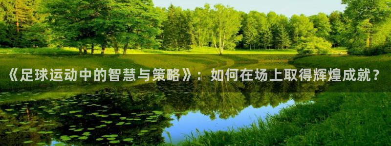 新新漫画耽：《足球运动中的智慧与策略》：如何在场上取得辉煌成就？