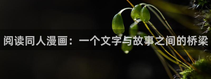 新新漫画首页：阅读同人漫画：一个文字与故事之间的桥梁