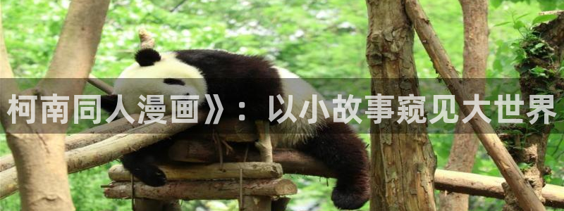 新新漫画官网正版下载：柯南同人漫画》：以小故事窥见大世界