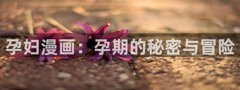 新新漫界：孕妇漫画：孕期的秘密与冒险