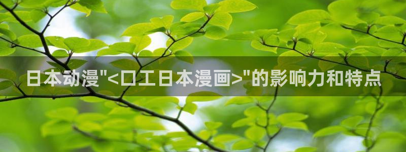 新新漫画(正版)：日本动漫\