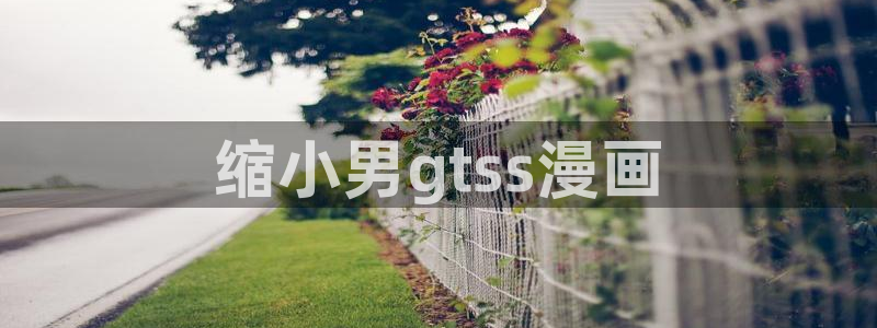 新新漫画漫画分类：缩小男gtss漫画