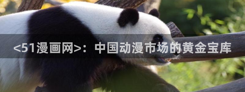 新新漫画官网：<51漫画网>：中国动漫市场的黄金宝库