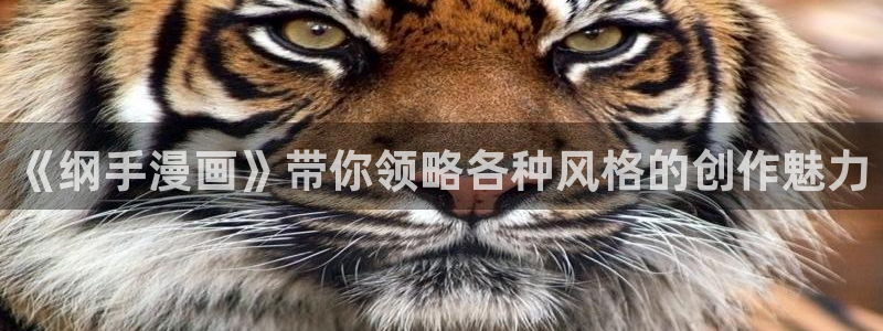 耽漫新新漫画