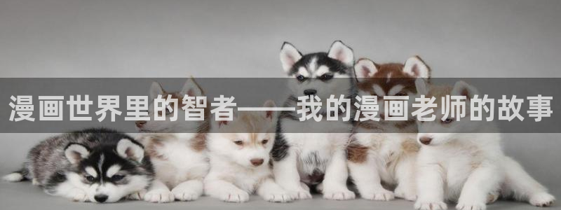 新新漫画app怎么下呀