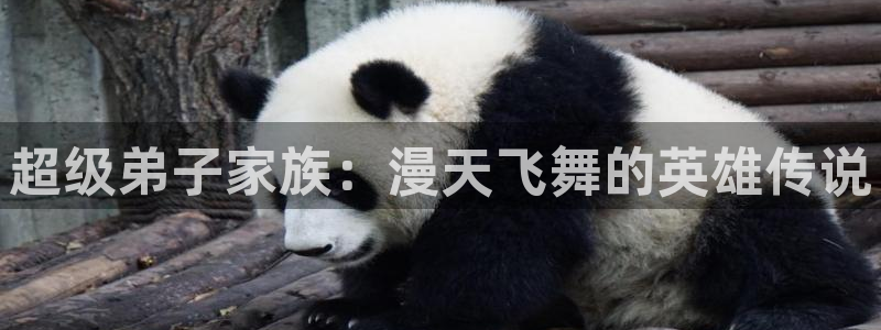 请别太过分新新漫画
