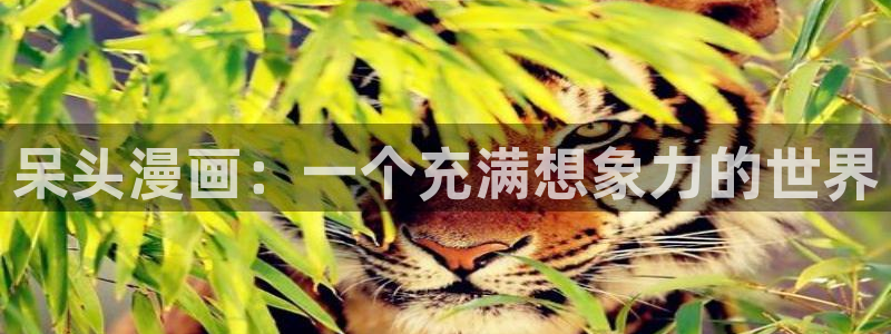 新新漫画无遮挡